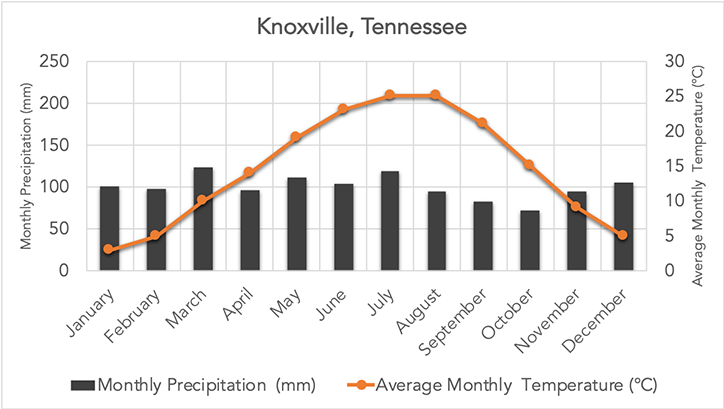 Knoxville, TN