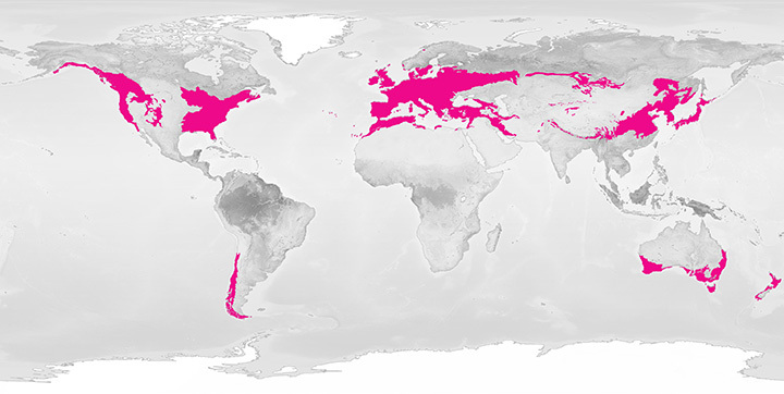 Temperate Deciduous Forest biome map